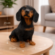 Statue teckel à poils courts assis en résine noir et feu réaliste 25 cm - 6