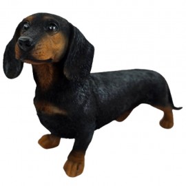 Statue teckel à poils courts debout en résine noir et feu réaliste 30 cm