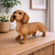 Statue teckel à poils courts debout en résine fauve réaliste 30 cm - 5