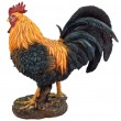 Statue coq en résine réaliste plumage noir et or 34 cm - 4