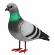 Statue pigeon en résine réaliste 30 cm — lot de 2 - 1