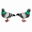 Statue pigeon en résine réaliste 30 cm — lot de 2 - 2