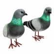 Statue pigeon en résine réaliste 30 cm — lot de 2 - 3