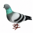 Statue pigeon en résine réaliste 30 cm — lot de 2 - 5