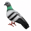 Statue pigeon en résine réaliste 30 cm — lot de 2 - 6