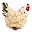Statue poule en résine réaliste crème 22 cm - 5