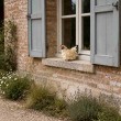 Statue poule en résine réaliste crème 22 cm - 7