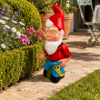 Statue nain de jardin doigt d'honneur en résine 60 cm - 7