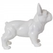 Statue CHIEN bouledogue Français blanc - 45 cm