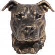 Statue tête de chien en résine pitbull staff américain oreille naturel - 35 cm
