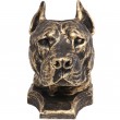Statue tête de chien en résine pitbull staff américain oreilles coupées - 36 cm