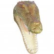 Statue trophée tête de crocodile murale couleurs naturelles - 71 cm