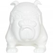 Statue chien bouledogue Anglais motard blanc en résine (Félix) - 26 cm