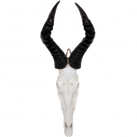 Statue trophée tête d'antilope gazelle en résine - 82 cm