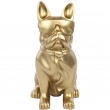 Statue chien bouledogue Français à lunette en résine dorée - Martial - 37 cm
