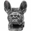 Statue tête de chien bouledogue Français en résine argentée - 37 cm