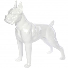 Statue en résine CHIEN boxer blanc - Armand - 52 cm