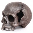 Statue tête de mort couleur acier en fonte - 13 cm