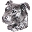 Statue argent tête de chien en résine pitbull staff américain oreille naturel - 35 cm
