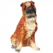 Statue CHIEN shar-peï multicolore - 32 cm