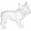 Statue chien bouledogue Français blanc en résine - nono - 27 cm