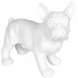 Statue chien bouledogue Français blanc en résine - nono - 27 cm