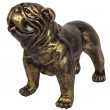 Statue en résine CHIEN bouledogue anglais patine dorée antique - 28 cm