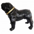 Statue en résine CHIEN bouledogue anglais noir avec collier doré- 90 cm