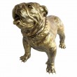 Statue en résine CHIEN bouledogue anglais doré antique - 90 cm