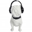 Statue chien en résine bouledogue Français assis blanc casque audio - 30 cm