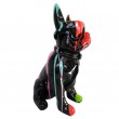 Statue chien bouledogue Français à lunette multicolore fond noir en résine 60 cm