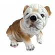 Statue chien chiot bouledogue Anglais assis - 30 cm