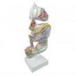 Statue visage résine multicolore 43 cm