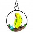 Statue perroquet perruche vert en résine sur perchoir rond réglable 38 cm