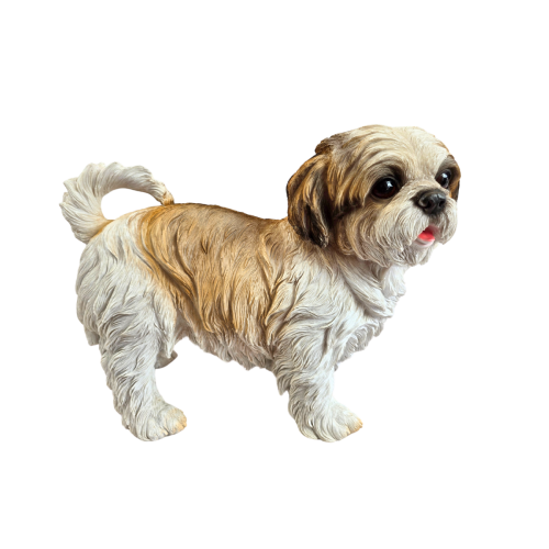 Statue chien Shih Tzu en résine 40 cm – déco intérieure extérieure