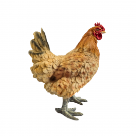Statue poule en résine 35 cm – déco réaliste pour intérieur ou jardin