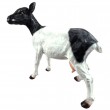 Statue Chèvre Noire et Blanche 50 cm - Résine Réaliste - 3
