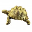 Statue en résine 40 cm – Tortue dorée décorative XXL - 1