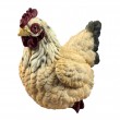 Statue en résine 35 cm – Poule décorative couchée - 2