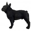 Statue bouledogue français résine noir réaliste 50 cm - 1