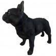 Statue bouledogue français résine noir réaliste 50 cm - 2