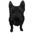 Statue bouledogue français résine noir réaliste 50 cm - 4