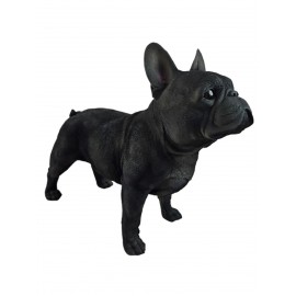 Statue bouledogue français résine noir réaliste 50 cm
