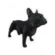 Statue bouledogue français résine noir réaliste 50 cm - 5