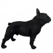 Statue bouledogue français résine noir réaliste 50 cm - 6