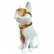 Statue chat résine blanc lunettes écharpe dorées assis 40 cm - 2