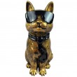 Statue chat résine doré antique lunettes écharpe noires assis 40 cm - 1