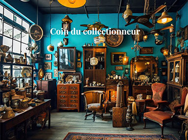 Décoration du collectionneur